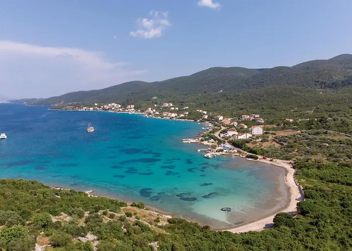 In With Wifi * Racisce