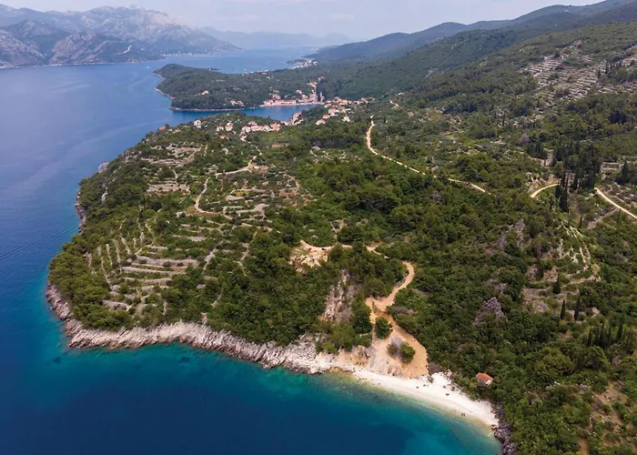 In With Wifi Apartment